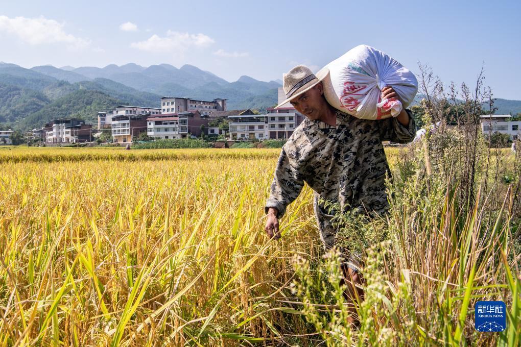 开心川麻自己上分